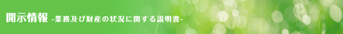 開示情報-業務及び財産の状況に関する説明書-
